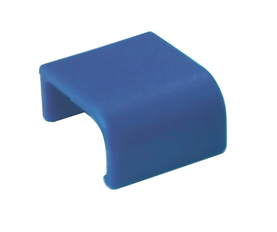 kiwistore-3564506