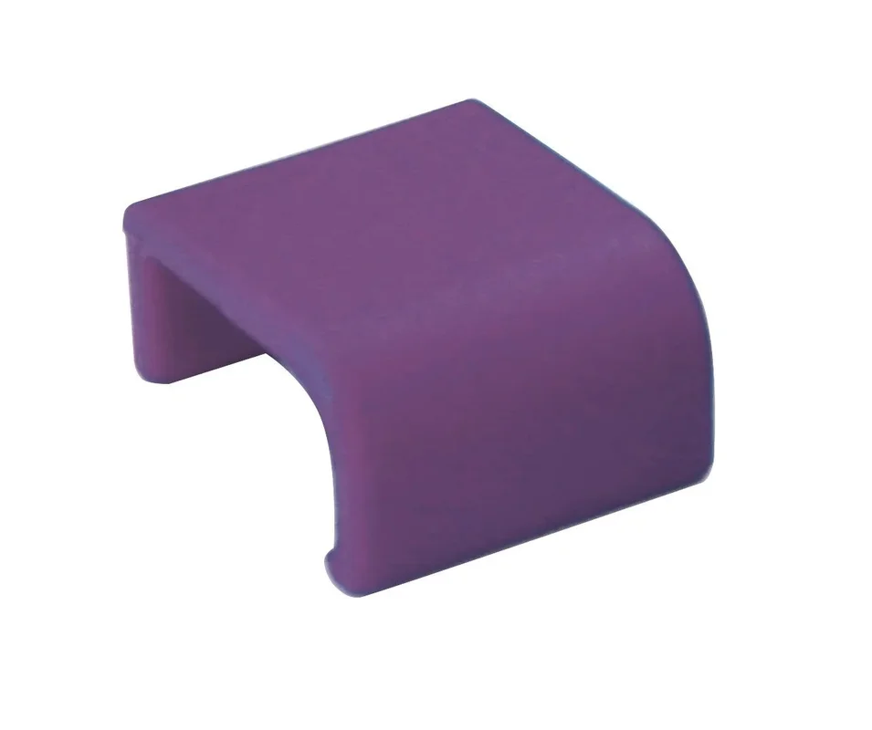kiwistore-3564508