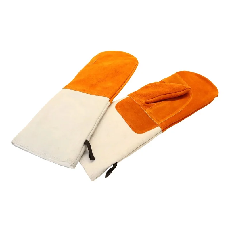 kiwistore-3565763
