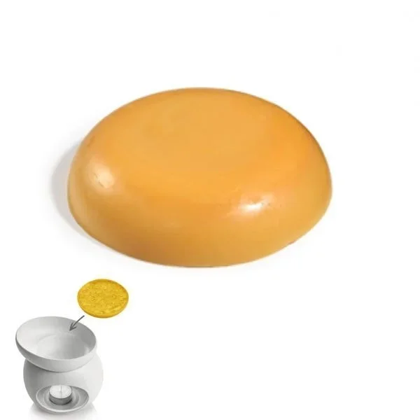 kiwistore-3567009