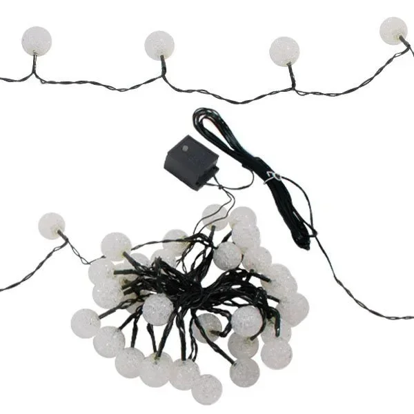 kiwistore-3567061