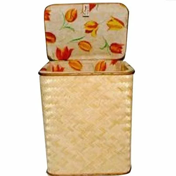 kiwistore-3567537