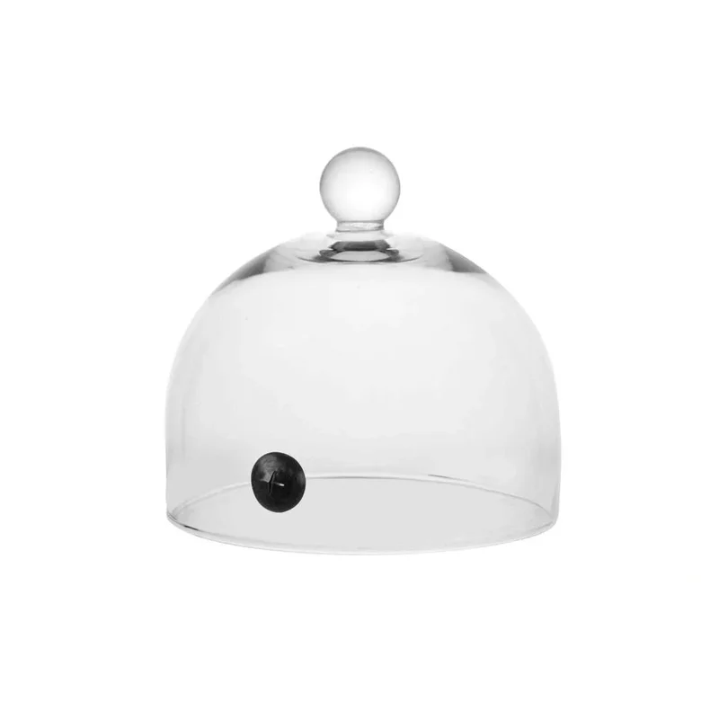 kiwistore-3567663