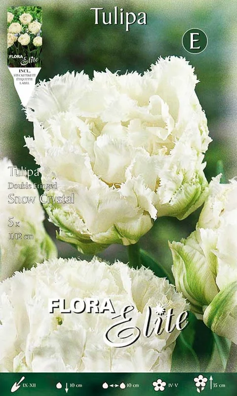peragashop23580963