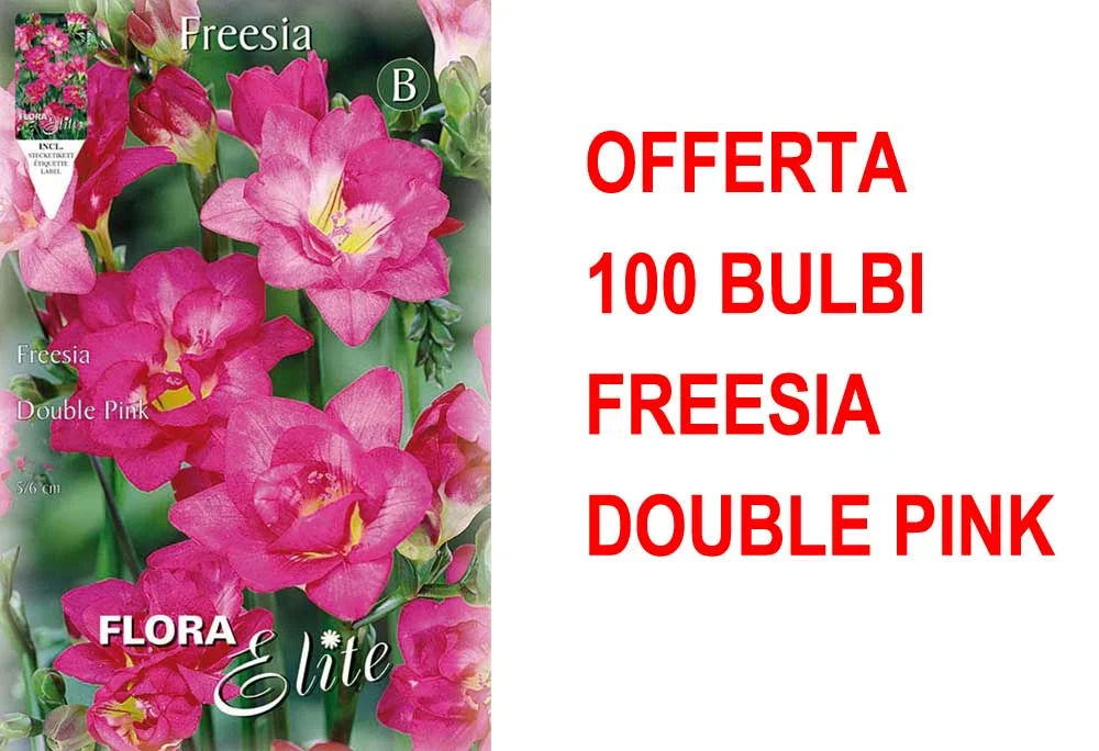 peragashop23589521