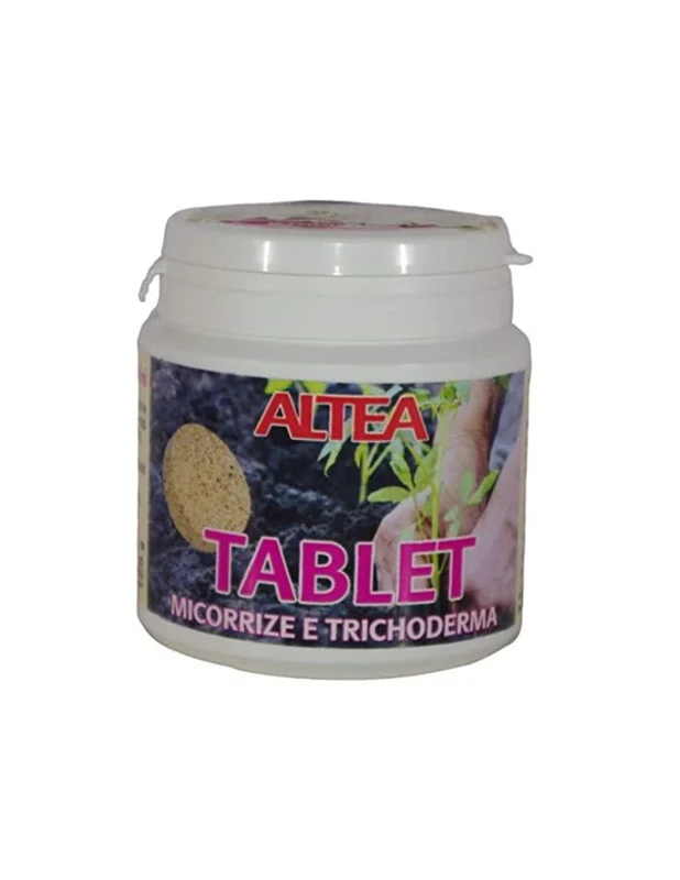 peragashop23795017
