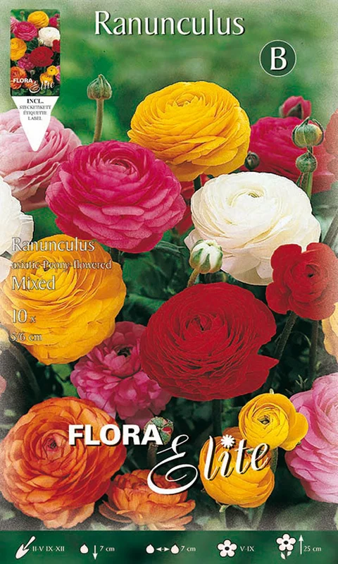 peragashop23846141