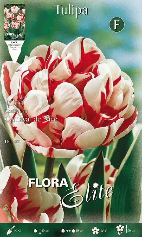 peragashop23846645