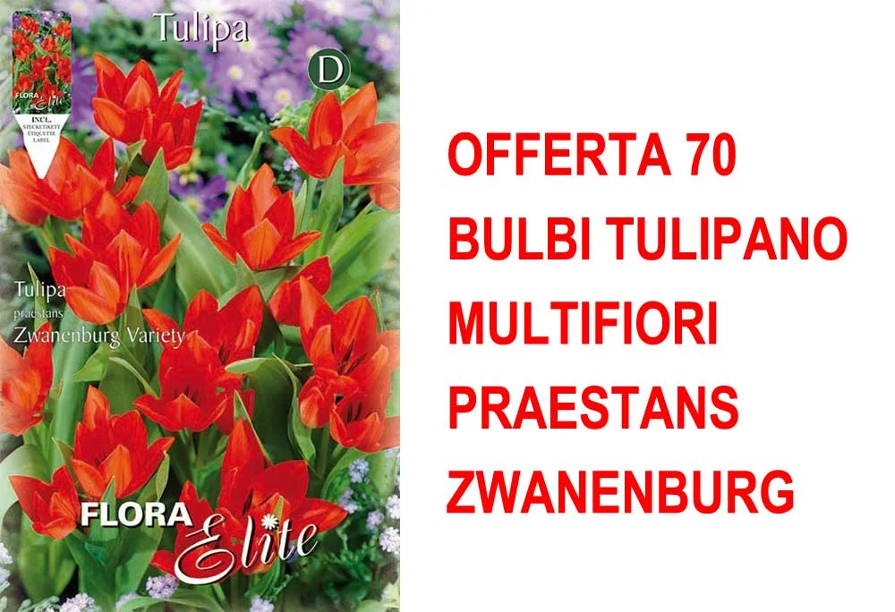 peragashop33446071