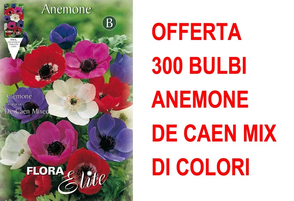 peragashop33447778