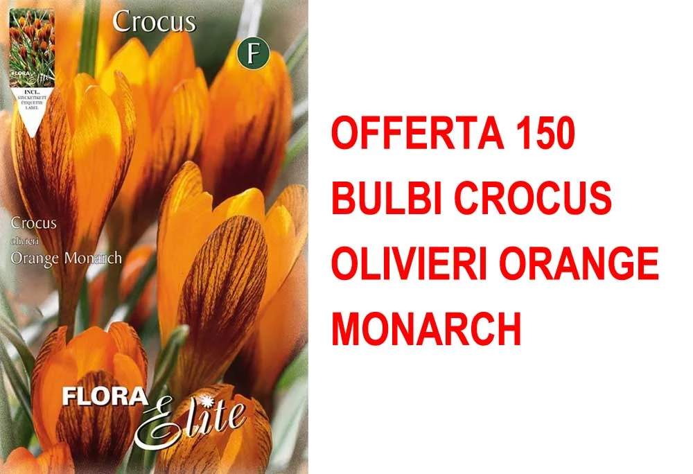 peragashop33449295