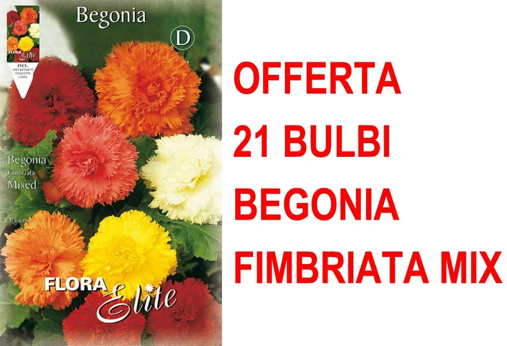 peragashop33457801