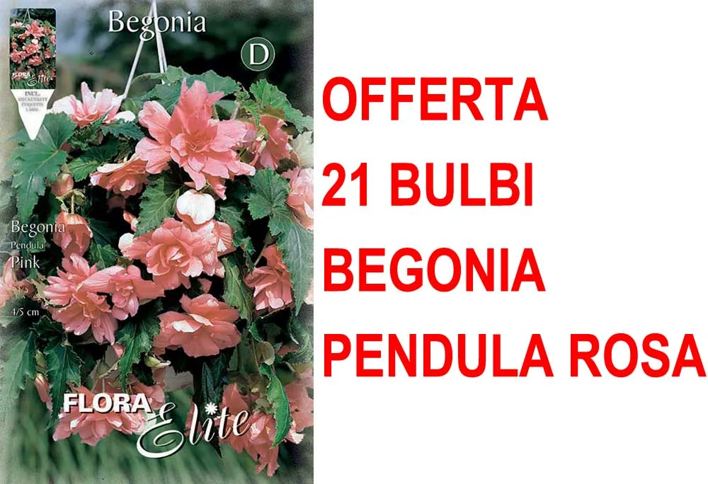 peragashop33458138