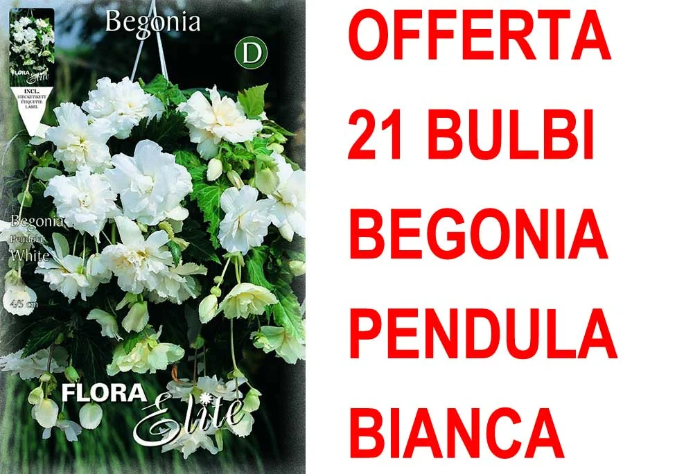 peragashop33458331
