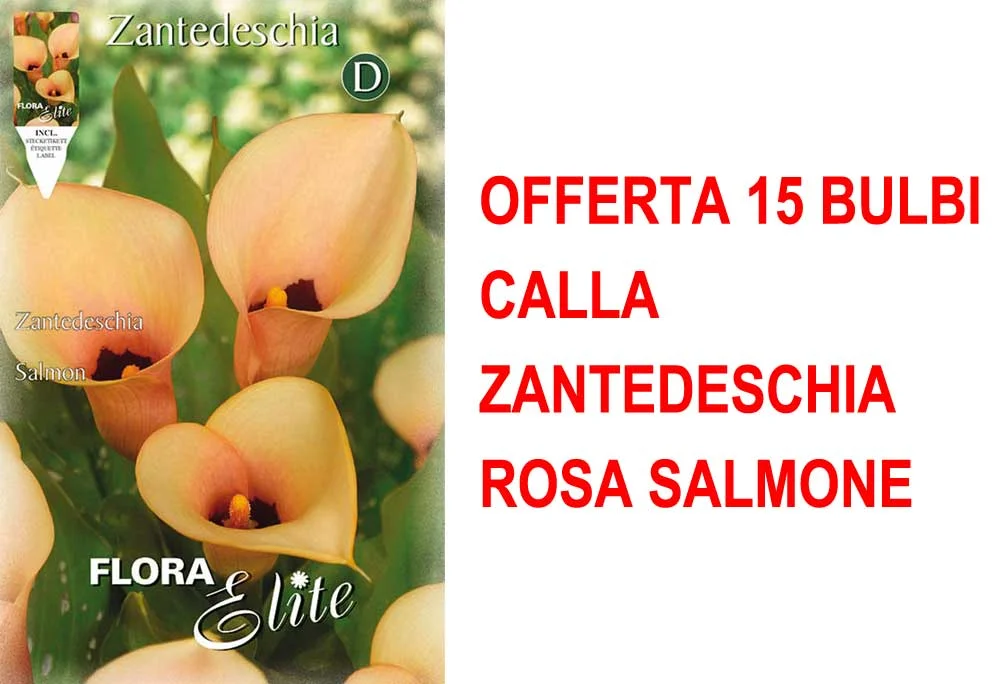 peragashop33459253