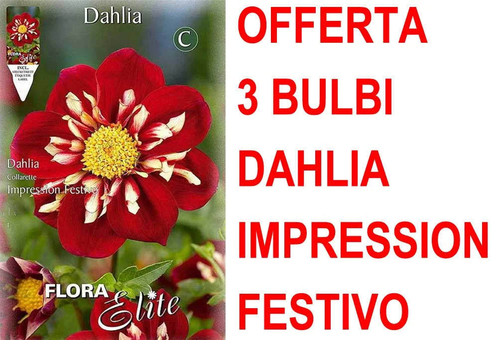 peragashop33461336