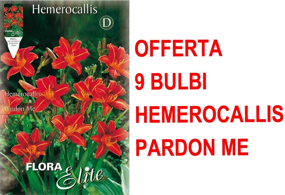 peragashop33473683