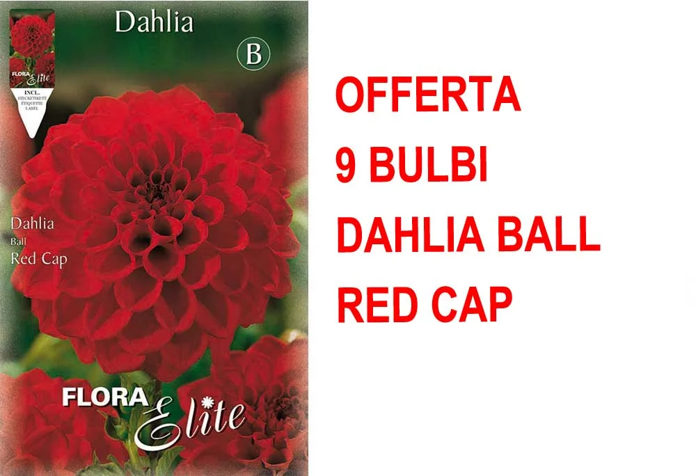 peragashop33475154