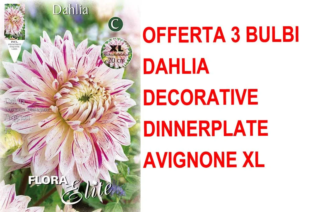 peragashop33475192