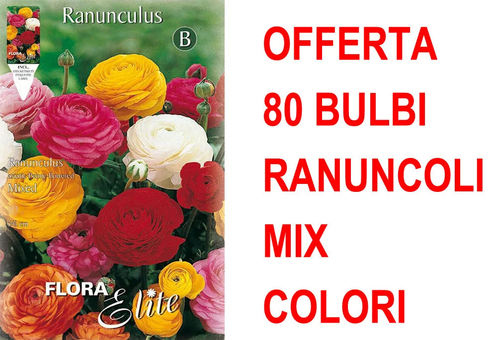 peragashop33484208