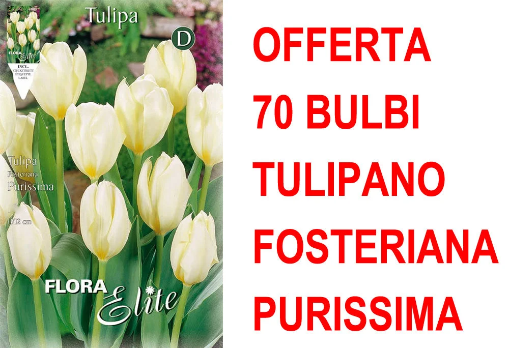peragashop33484240