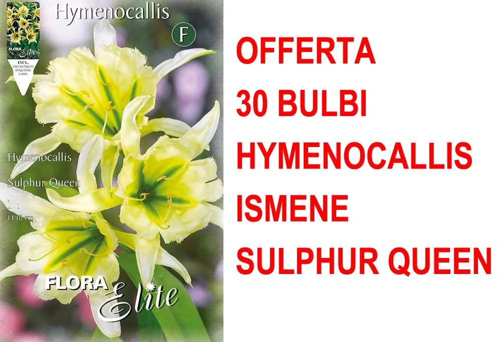peragashop33484916