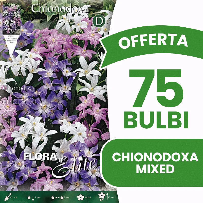 peragashop33528217