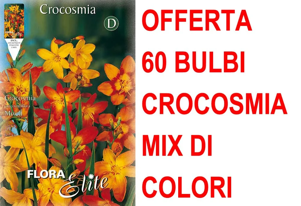 peragashop33531255