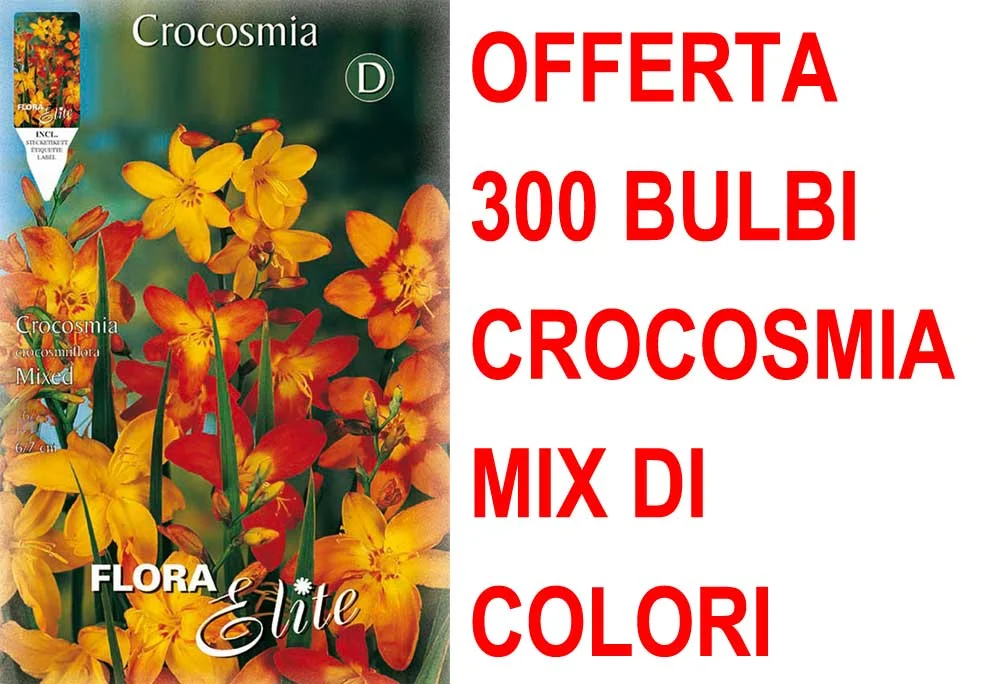 peragashop33531294