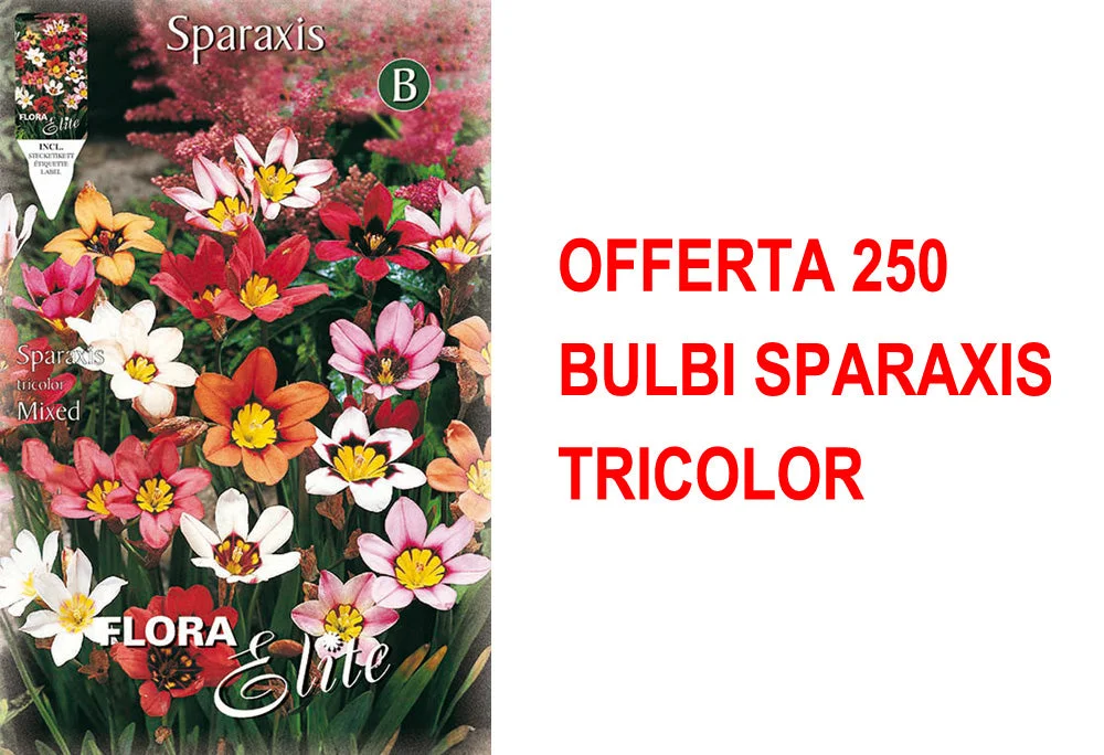 peragashop33531368