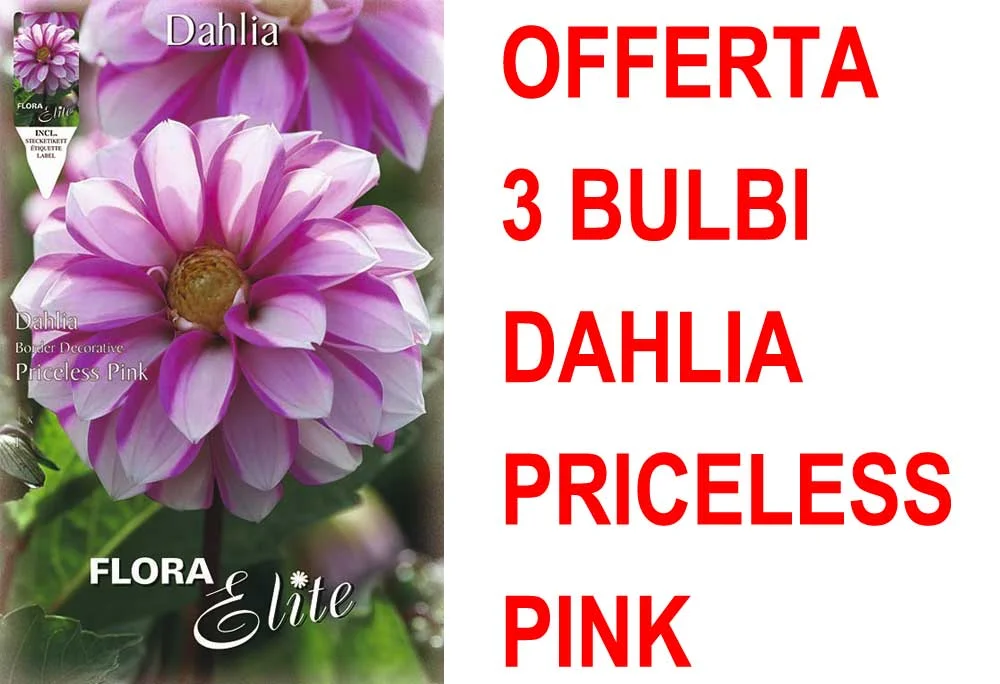 peragashop33531570