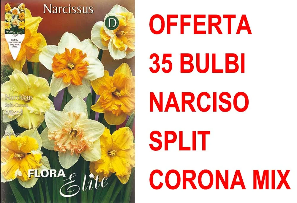peragashop33569260