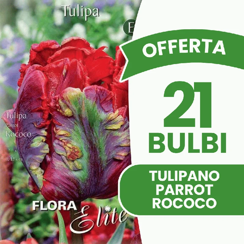 peragashop33569375