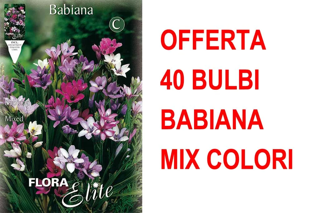 peragashop33591492