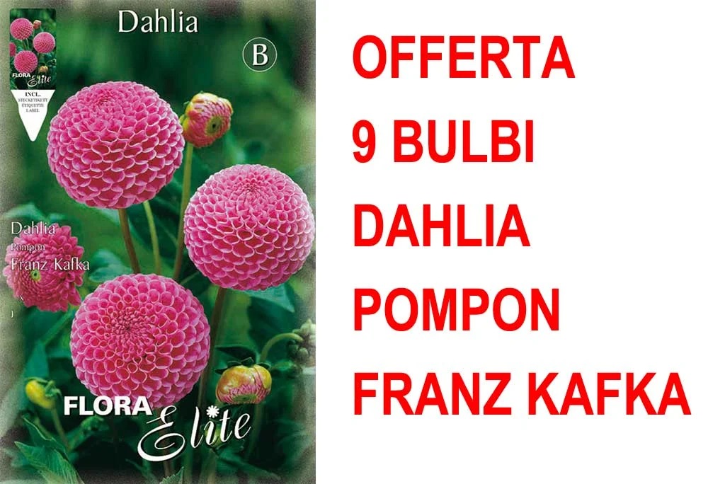 peragashop33591536