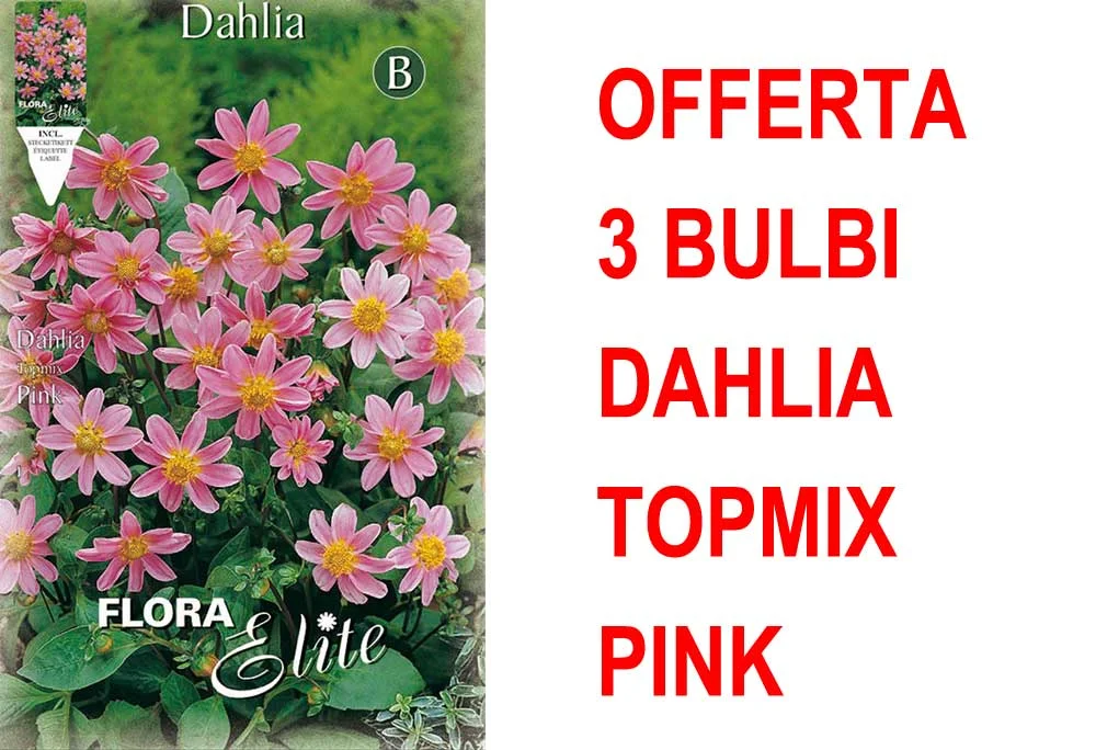 peragashop33591558