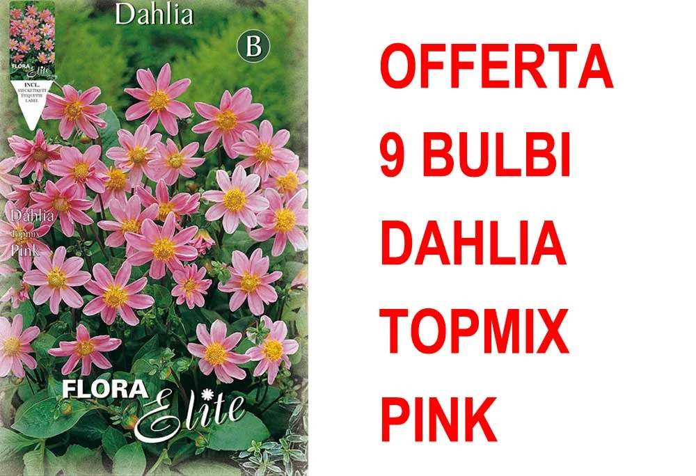 peragashop33591563