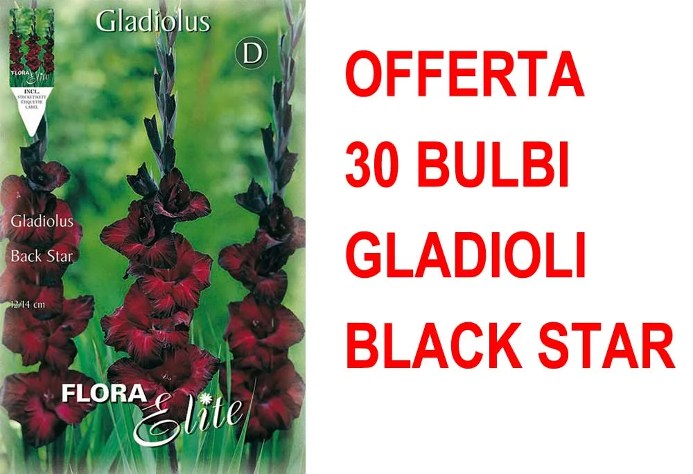 peragashop33591707
