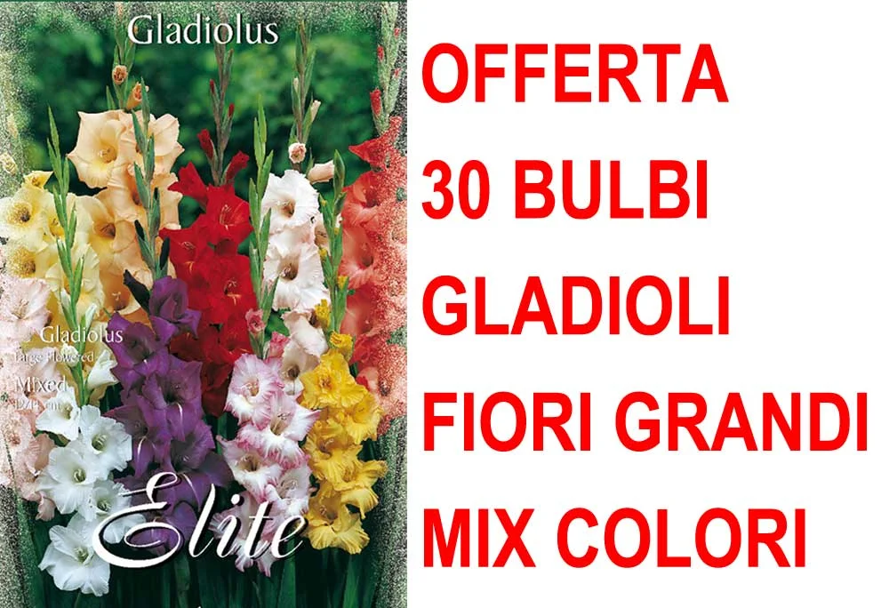 peragashop33591720