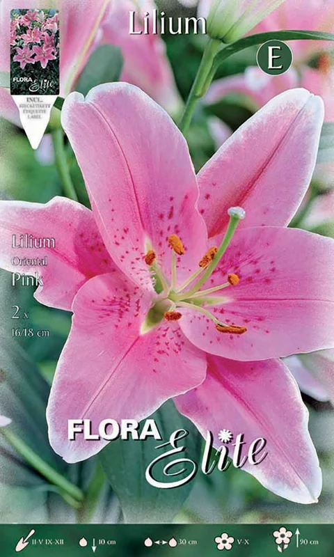 peragashop33773819