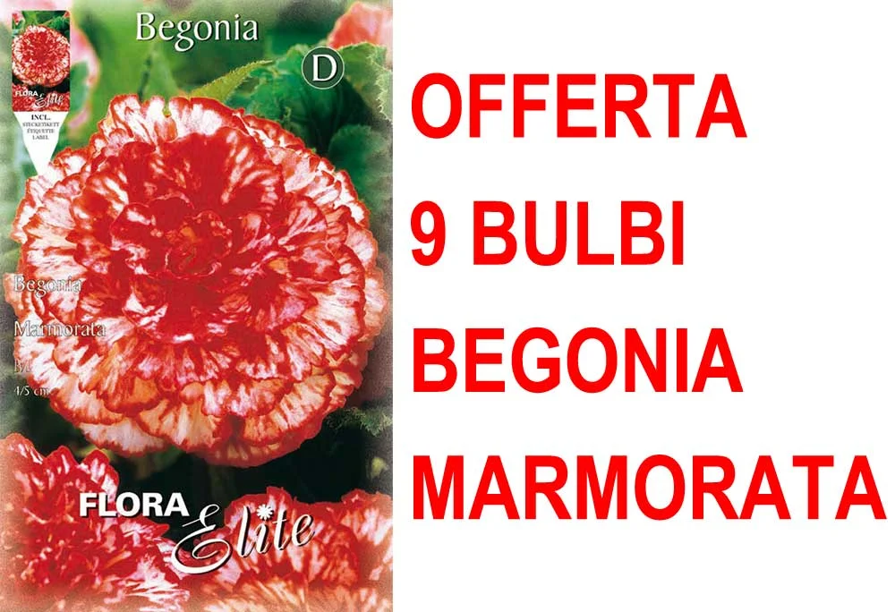 peragashop33774095