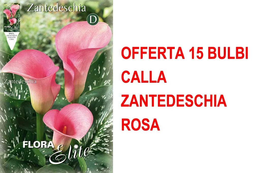 peragashop33774477