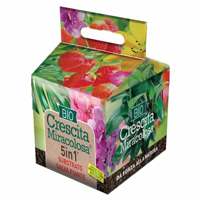 peragashop33801952