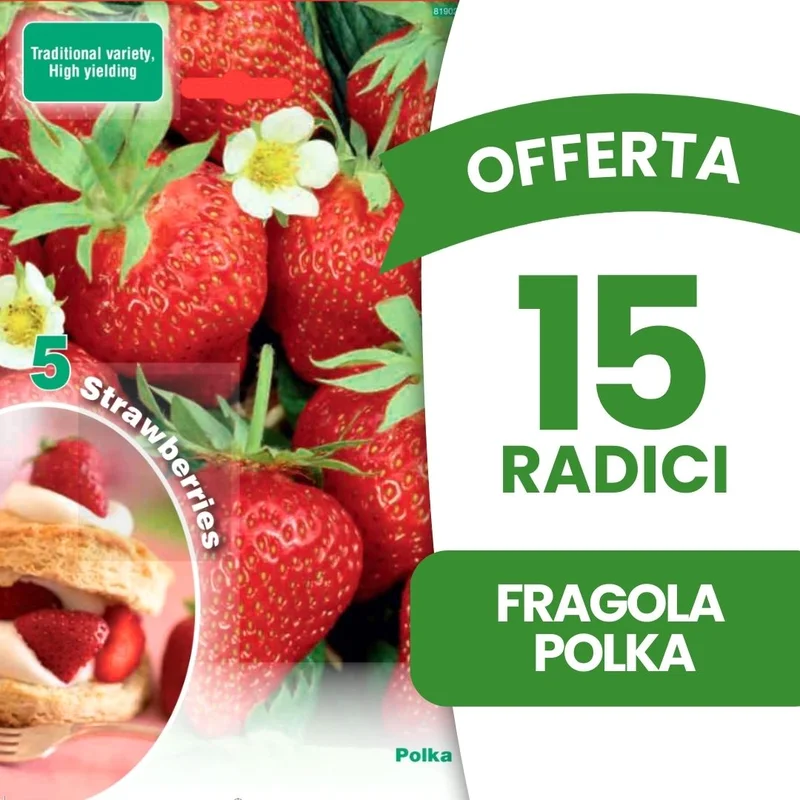 peragashop43480120