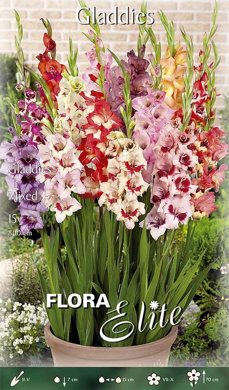 peragashop43545082
