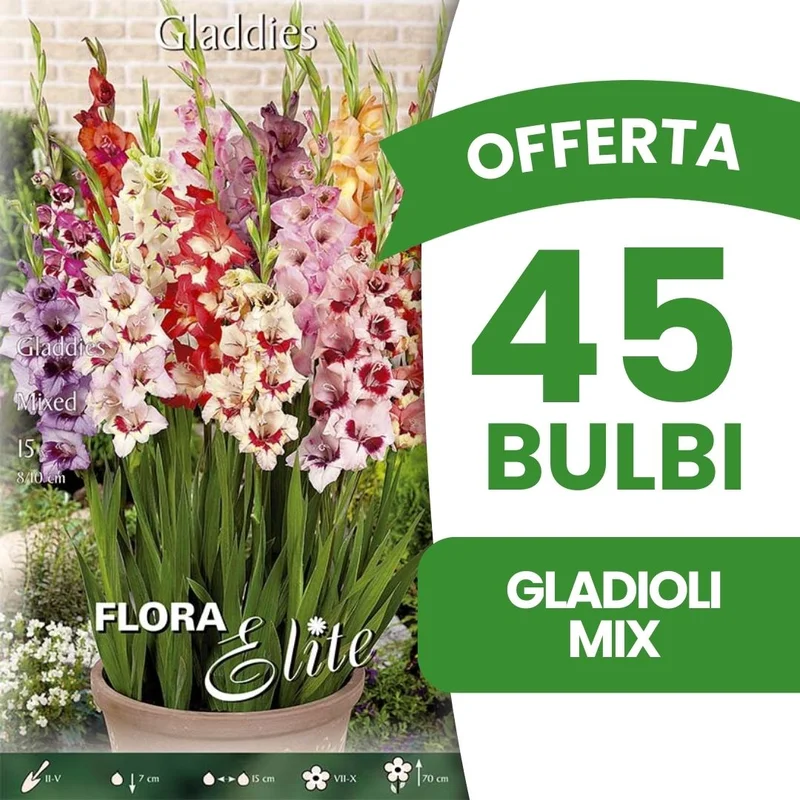 peragashop43545117