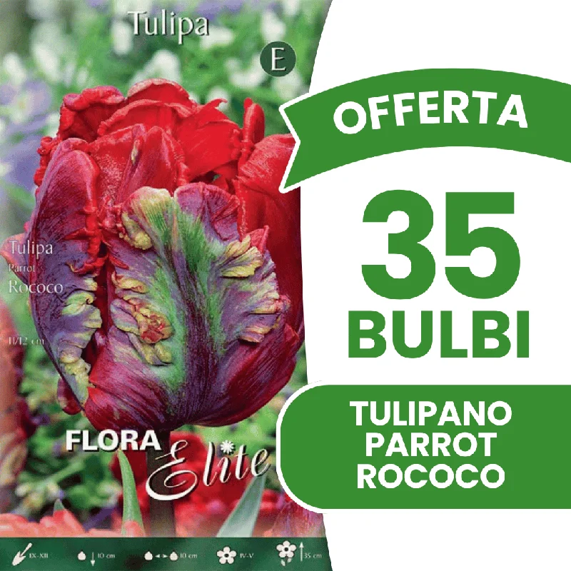 peragashop43571169