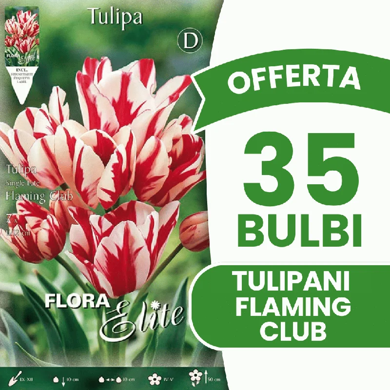 peragashop43571184