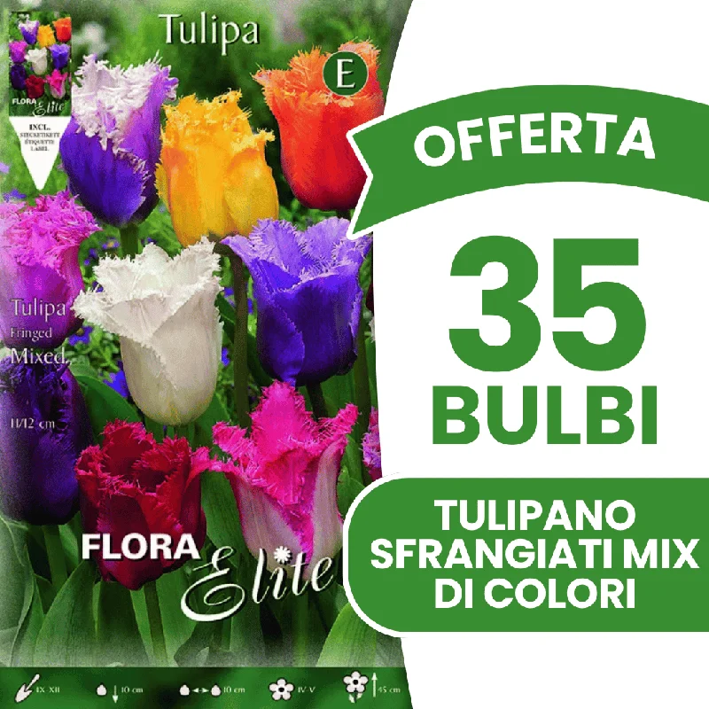 peragashop43571209