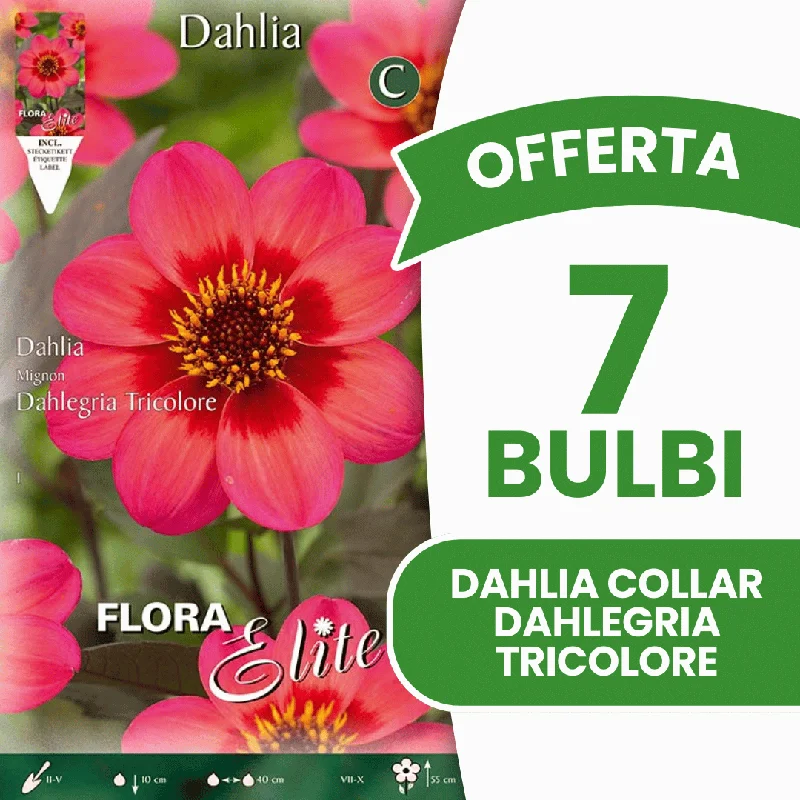 peragashop43575729